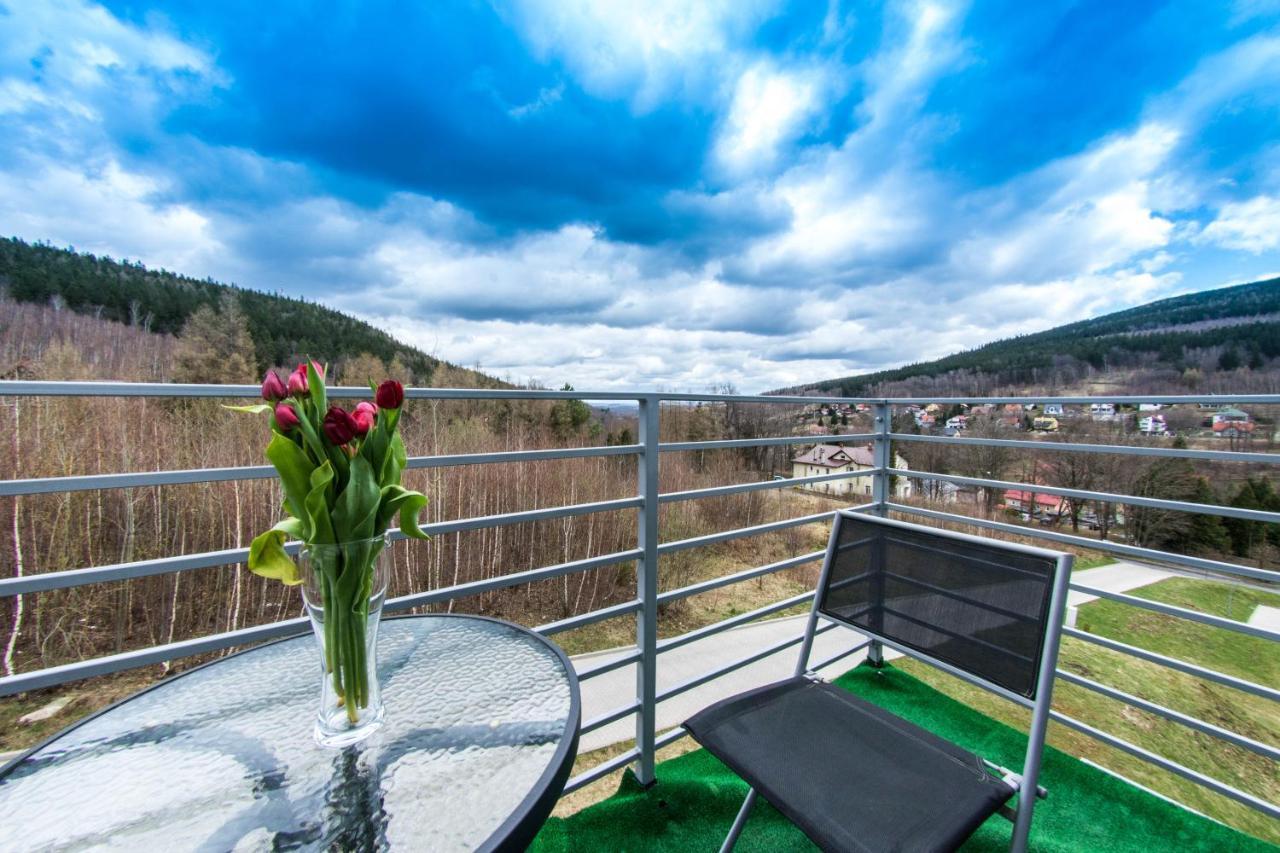 Apartamenty Izerskie - Ul. Cicha 13H-I Swieradow-Zdroj Luaran gambar