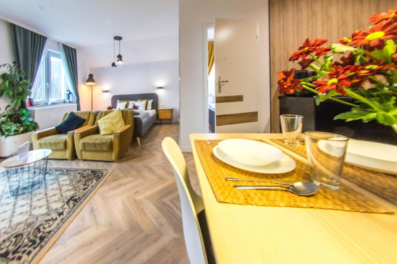 Apartamenty Izerskie - Ul. Cicha 13H-I Swieradow-Zdroj Luaran gambar