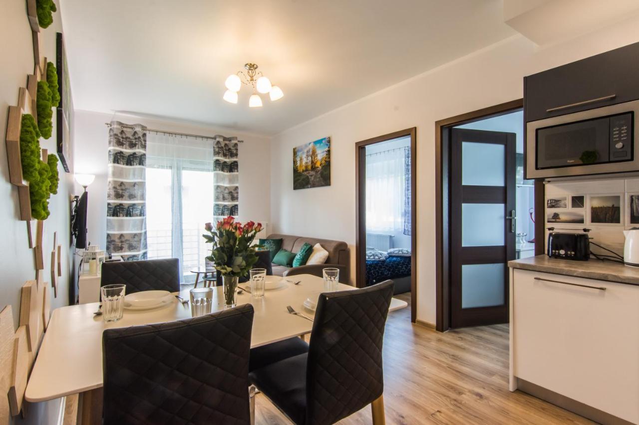 Apartamenty Izerskie - Ul. Cicha 13H-I Swieradow-Zdroj Luaran gambar