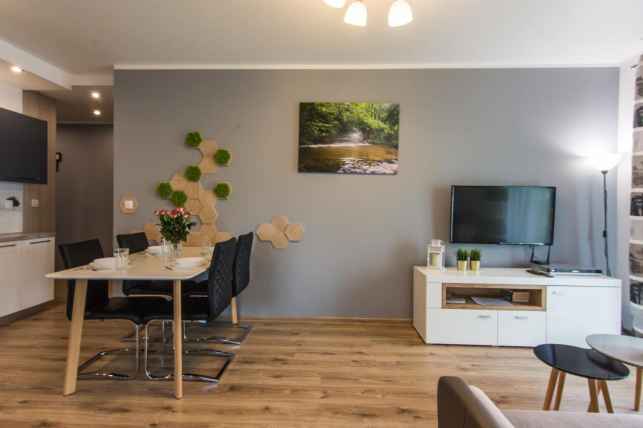Apartamenty Izerskie - Ul. Cicha 13H-I Swieradow-Zdroj Luaran gambar