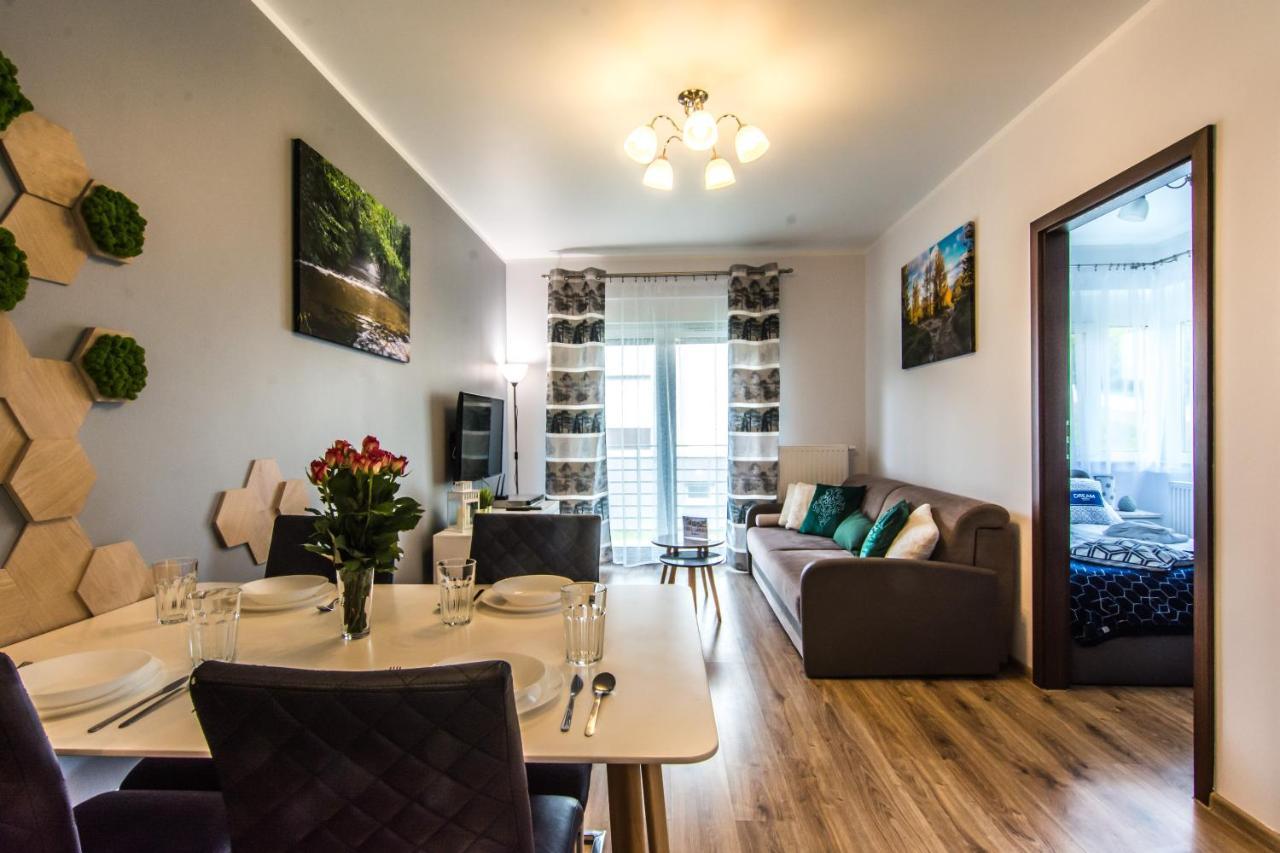 Apartamenty Izerskie - Ul. Cicha 13H-I Swieradow-Zdroj Luaran gambar